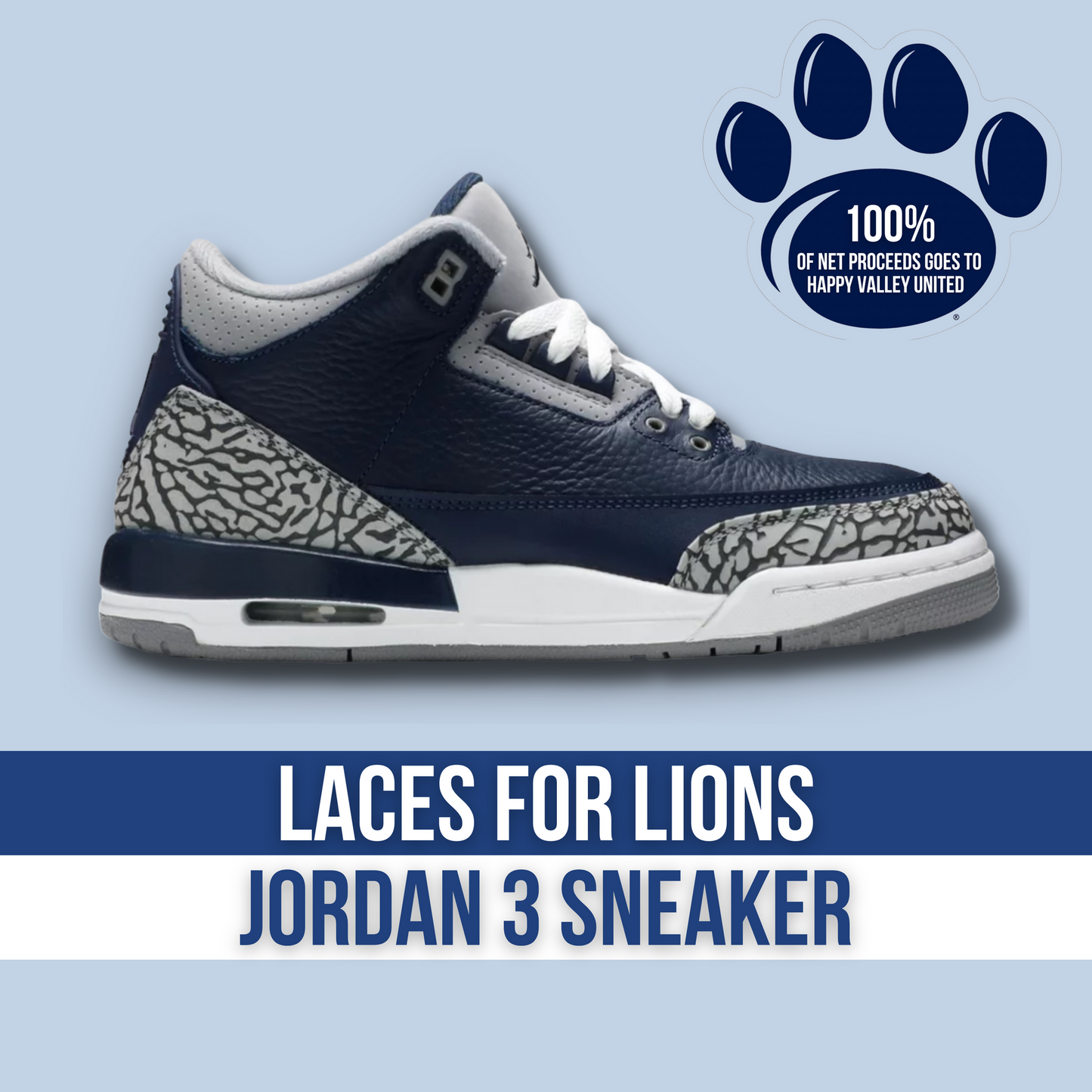LACES FOR LIONS JORDAN 3 SNEAKER
