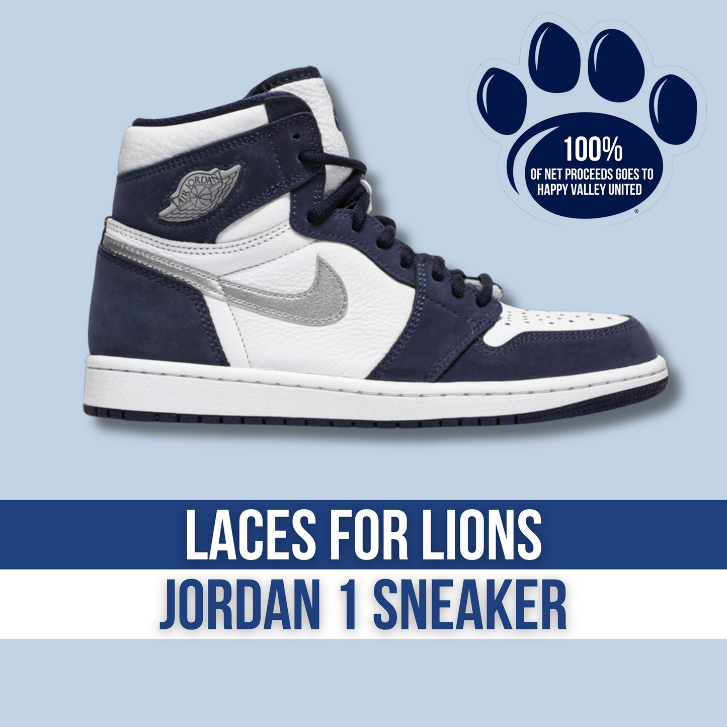 LACES FOR LIONS JORDAN 1 SNEAKER